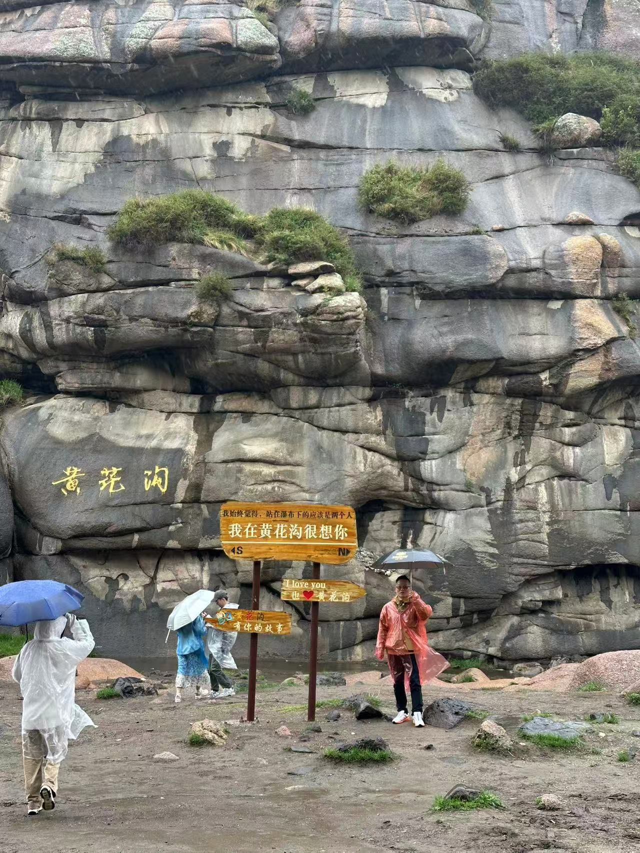 鿴ϸϢ⣺罹ղԭɷ Ķ51